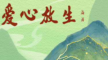 广告3